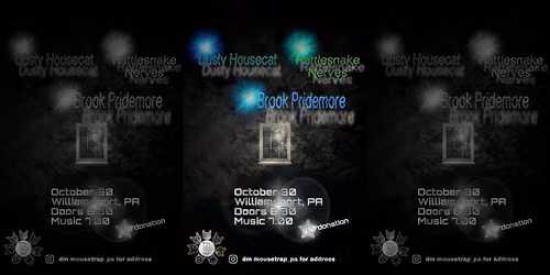 Brook Pridemore, Dusty Housecat, and Rattlesnake Nerves at Mousetrap