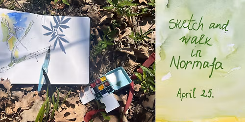 Sketch and walk in Normafa