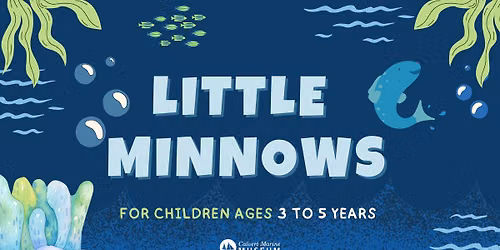 Little Minnows