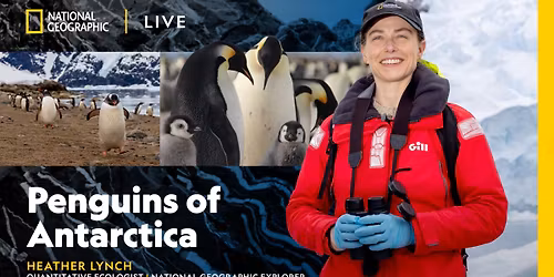 National Geographic Live: Penguins of Antarctica with Heather Lynch