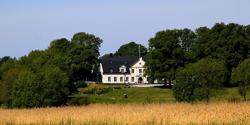 En natt ute i Hammarskog