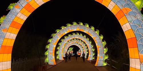 Parking Dial M for Murder - Grand Rapids