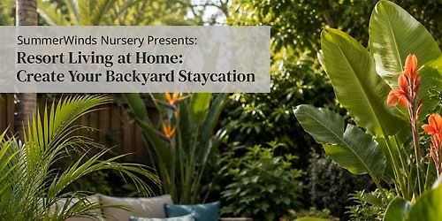 Resort Living at Home: Create Your Backyard Staycation - Campbell
