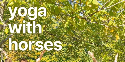 Yoga with Horses
