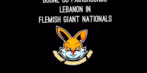 Rabbit renegades Flemish nationals and quad all breed show 