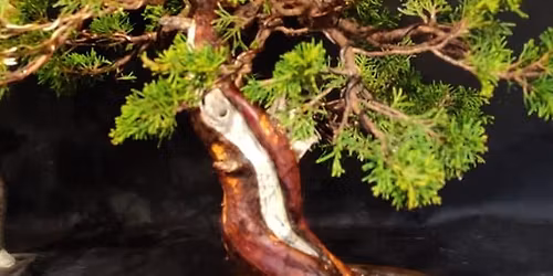 Morten Albek weekend workshop