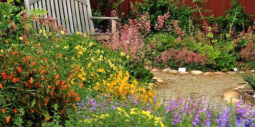 Monthly Meet Up: Plan Your Backyard Garden