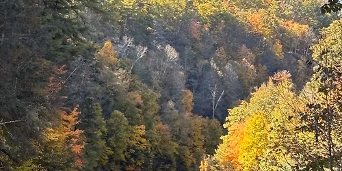 Divin\u2019 at Noble Shepherd!