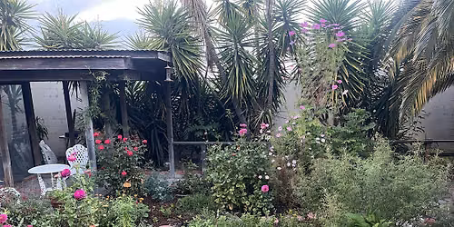 Museum\/Garden Tour & Deep-Dive with \u201cSacred Herb\u201d Blue Vervain