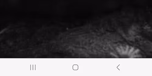 -"A Hangutaz\u00e1s......." \ud83d\ude42