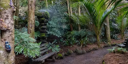 Inside Eden Garden: Exploring Auckland\u2019s Forest Garden Wonderland