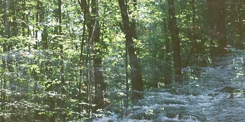 Half Moon Run in Qu\u00e9bec