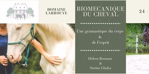 Biom\u00e9canique du cheval : une gymnastique du corps et de l'esprit 