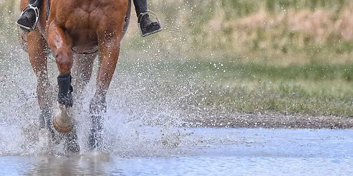 Spring Gulch Horse Trials