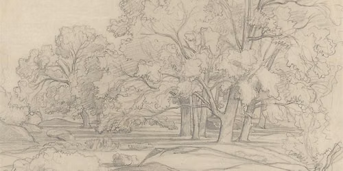 Introduction to Drawing: Foundations Workshop
