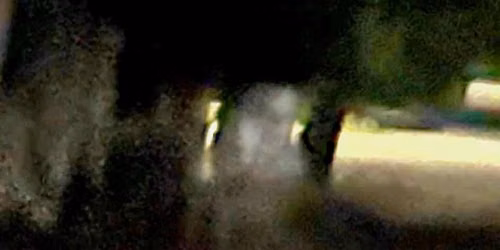 FULL MOON Ghost Walk
