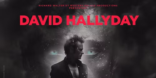 DAVID HALLYDAY Requiem pour un Fou - Un Show Sang pour Sang Hallyday