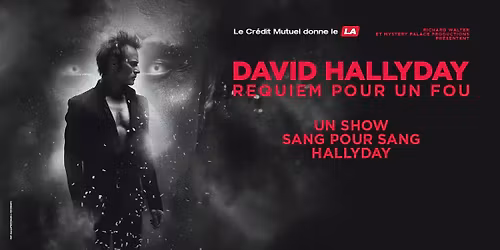 DAVID HALLYDAY Requiem pour un Fou - Un Show Sang pour Sang Hallyday