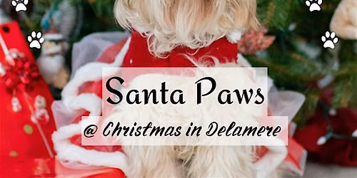 Santa Paws in Delamere Forest