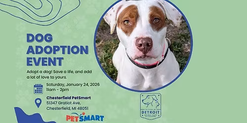 Dog Adoption Event at Chesterfield PetSmart