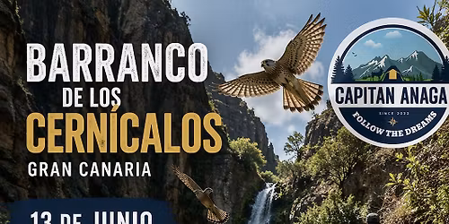 Tras el vuelo del Cernicalo