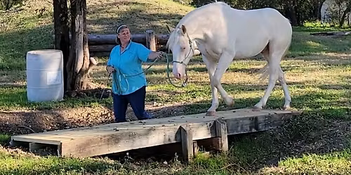 Obstacle Challenge Spring Series