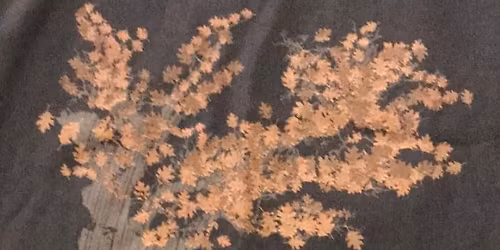 Clarkston Grass Roots Turkey Trot