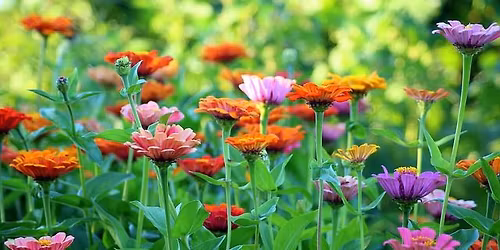 Introduction to Clinical emotional freedom techniques - the fourth wave of healing.