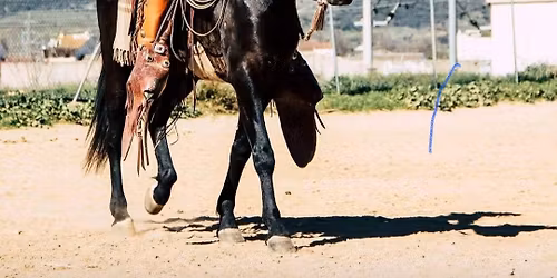 Rinderkurs mit Jeff Sanders - 3 Tage