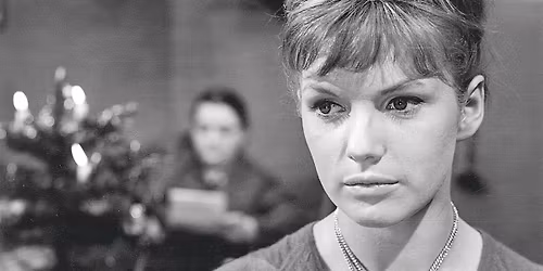 Das Kaninchen bin ich