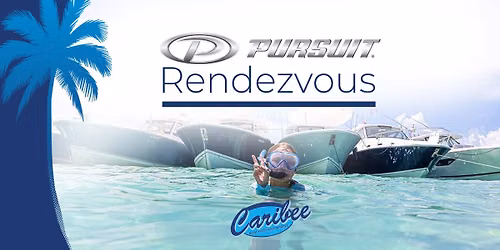 Pursuit Rendezvous