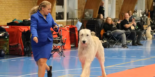 Myndeklubbens juleudstilling i Str\u00f8by 2026