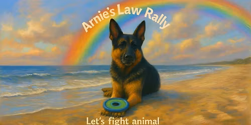 Arnie's Law Rally