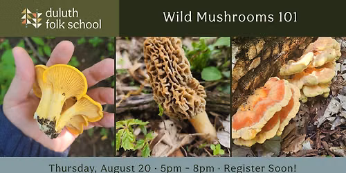 Wild Mushrooms 101