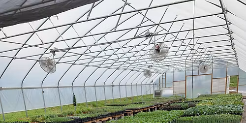 3 Barn Farm Spring Plant Sale! 2026