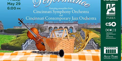 Picnic Performance Featuring CSO Symphony Ensemble