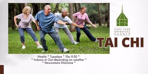 Tai Chi in the Garden