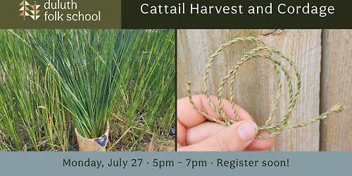 Cattail Harvest and Cordage