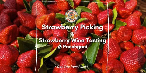 Strawberry Picking & Strawberry Wine Tasting @ Panchgani