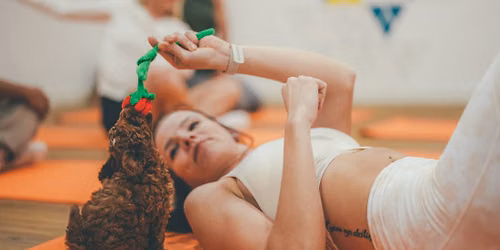 Cockapoo Puppy Pilates, Tickets at Paw Yoga Manchester