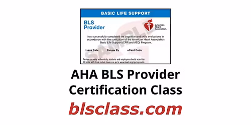 AHA BLS Class - Virtual Training - Durham, North Carolina