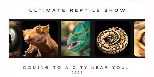 Ultimate Reptile Show: Round Lake Beach, IL (GURNEE AREA!)