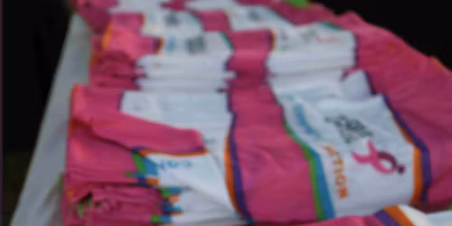 Susan G. Komen Los Angeles MORE THAN PINK Walk
