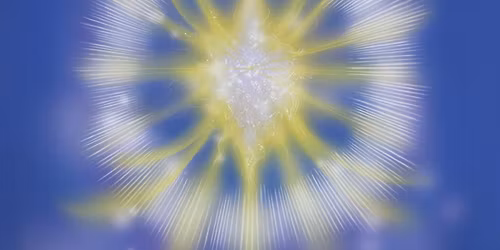 MCKS Pranic Healing course