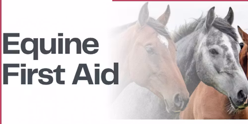 Equine Health & Emergency 1st Aid