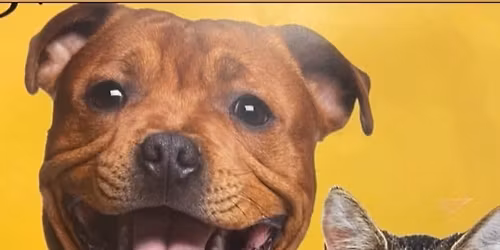 Petsense Fall Adopt-A-Thon