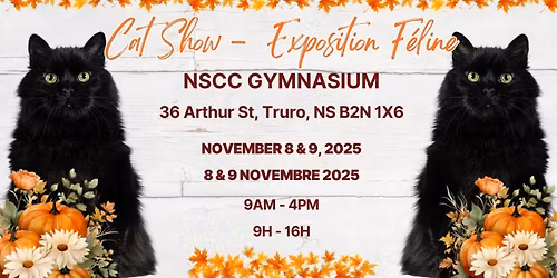 Fundy Fanciers Truro Cat Show