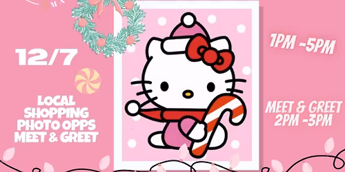 HOLIDAY KITTY MARKET