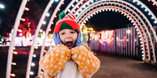 Dashin' thru the Lights