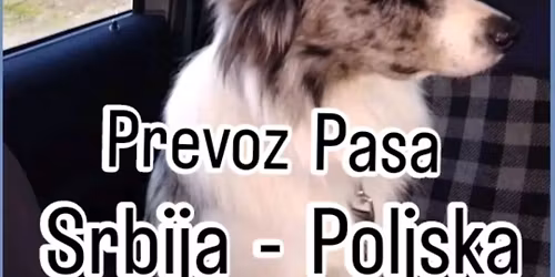 Prevoz Pasa i Mačaka Srbija - Poljska, individualni i grupni prevoz